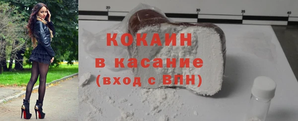 гашик Алексин