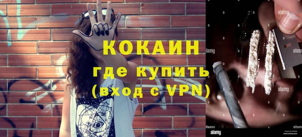 гашик Алексин