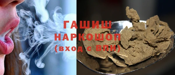 гашик Алексин