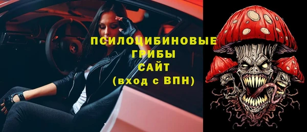 твердый Алзамай