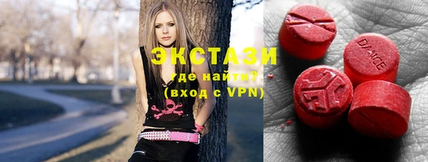 гашик Алексин